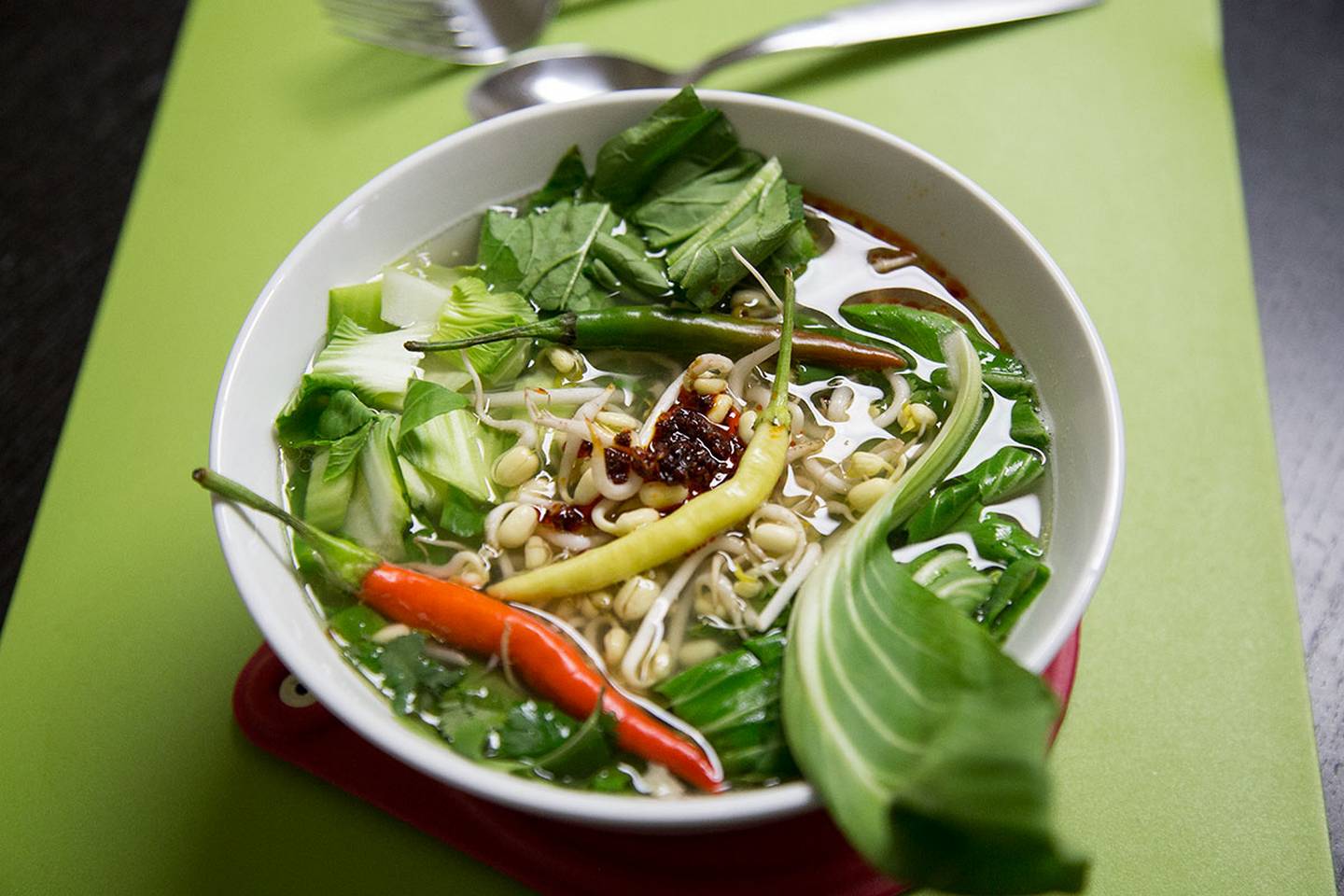 Vietnamese Pho Soup